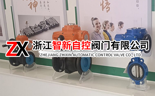 浙江智新自控阀门有限公司